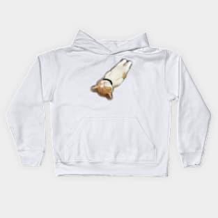 Cute cat sleep Kids Hoodie